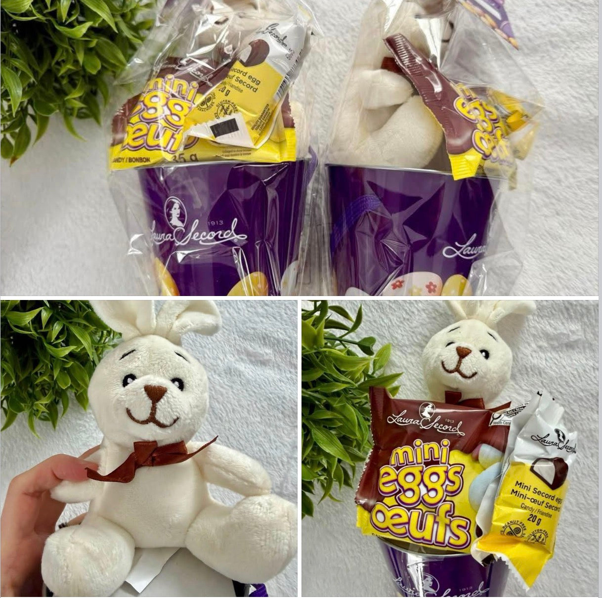 Lapin dans un sceau avec chocolat