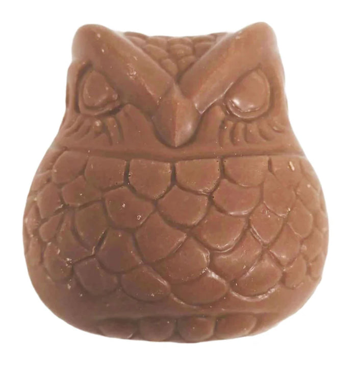 Hibou en chocolat au caramel fleur de sel