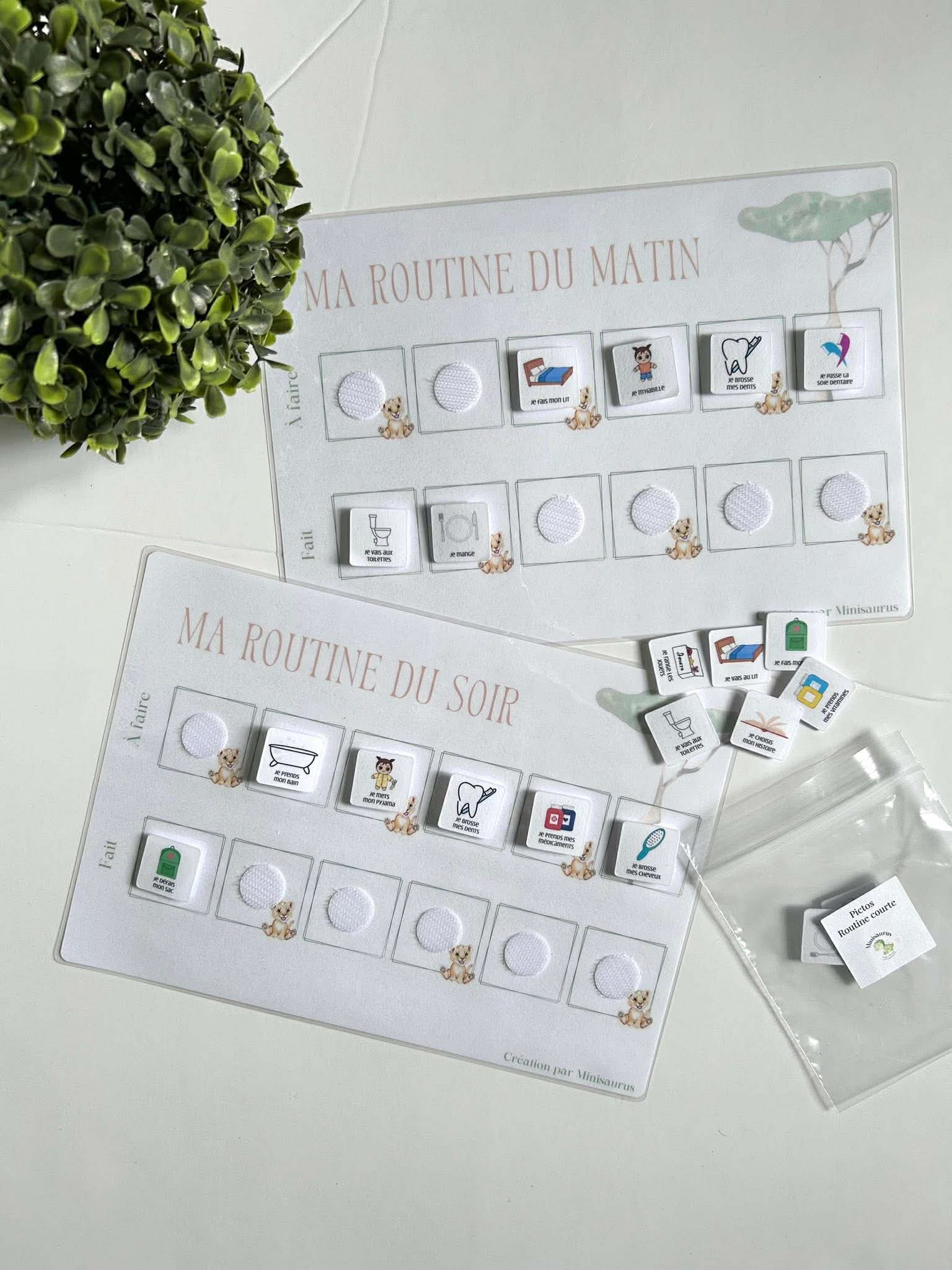 Routine du matin/soir