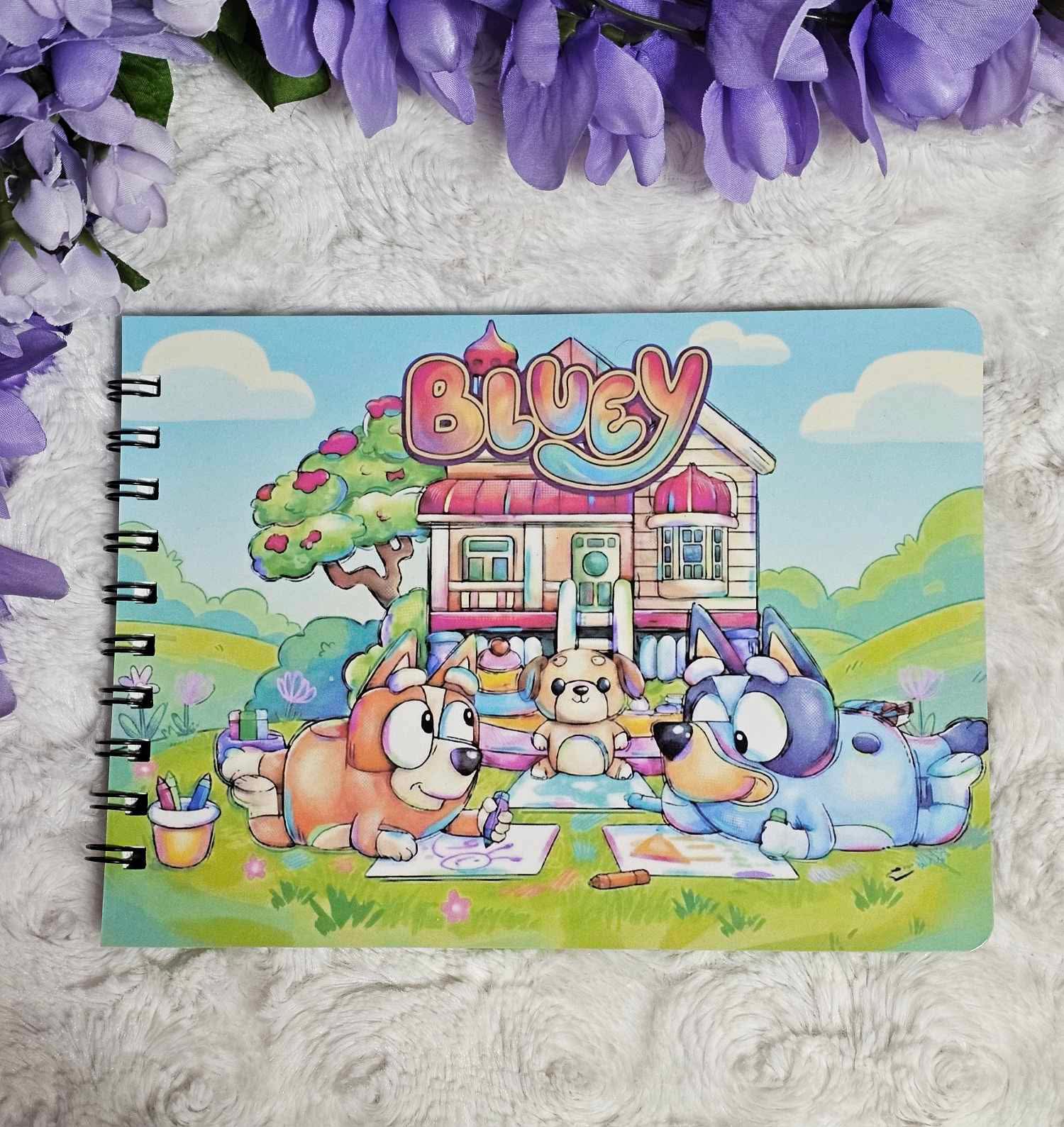 Livre de dessin émission télévisée