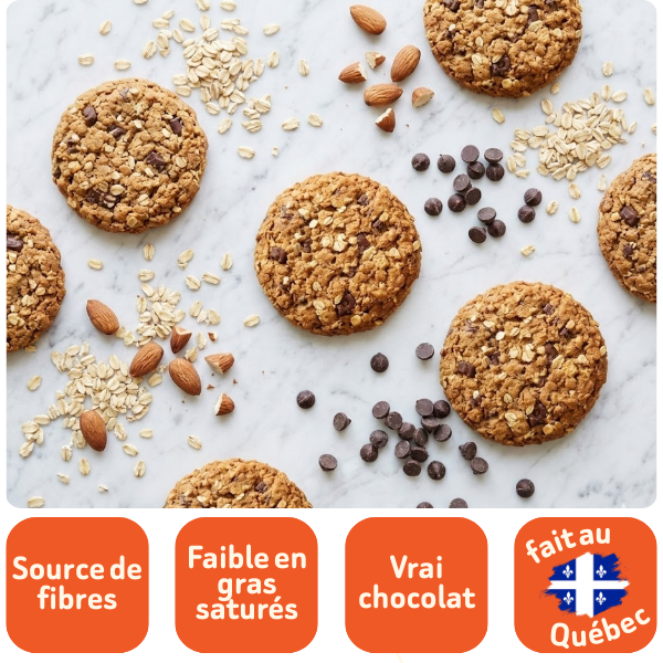 GALETTES AVOINE ET CHOCOLAT