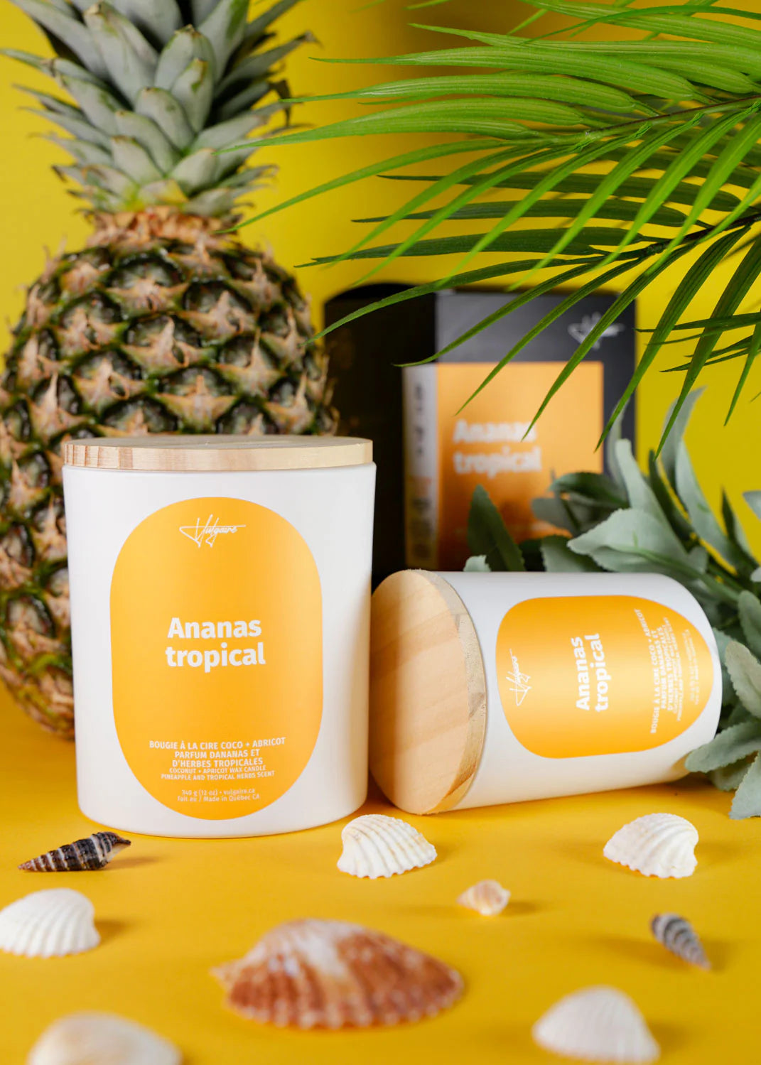 Bougie Ananas tropical 

PETIT FORMAT DE 5.5 OZ