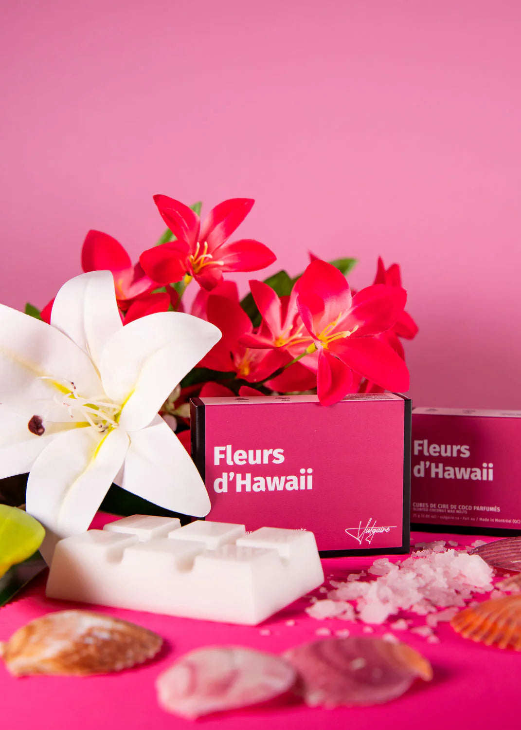 Cubes de cire Fleurs d'Hawaii 80g.
