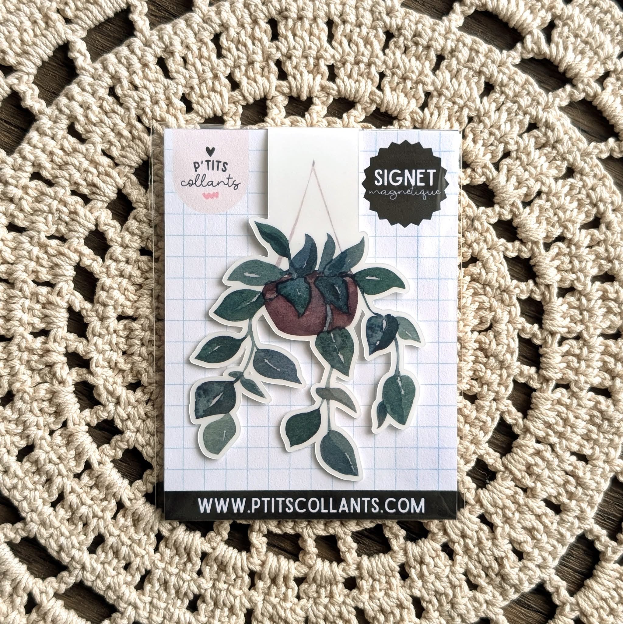 AQUARELLE · plante 🌱