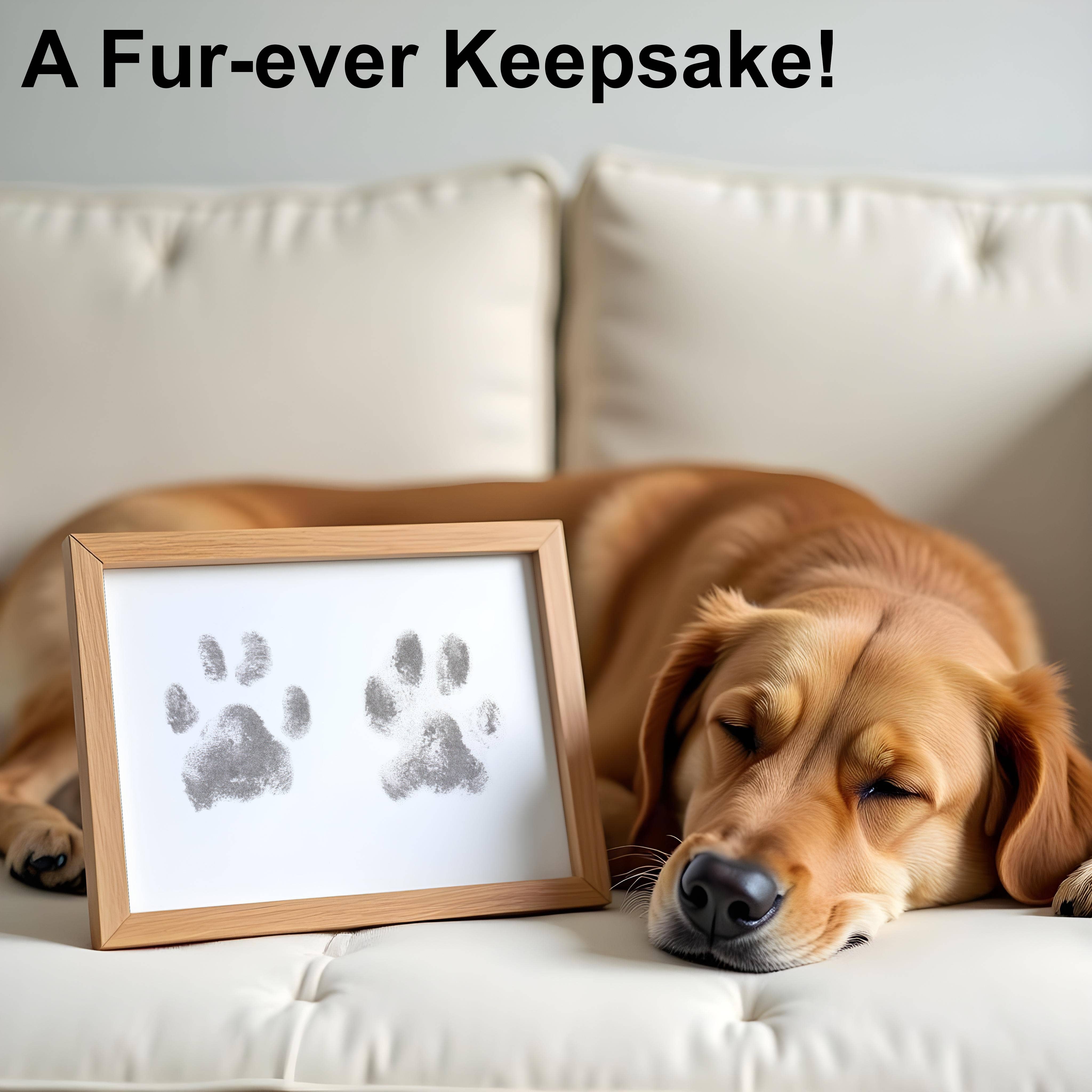 Kit d'Empreintes de Pattes Sans Encre