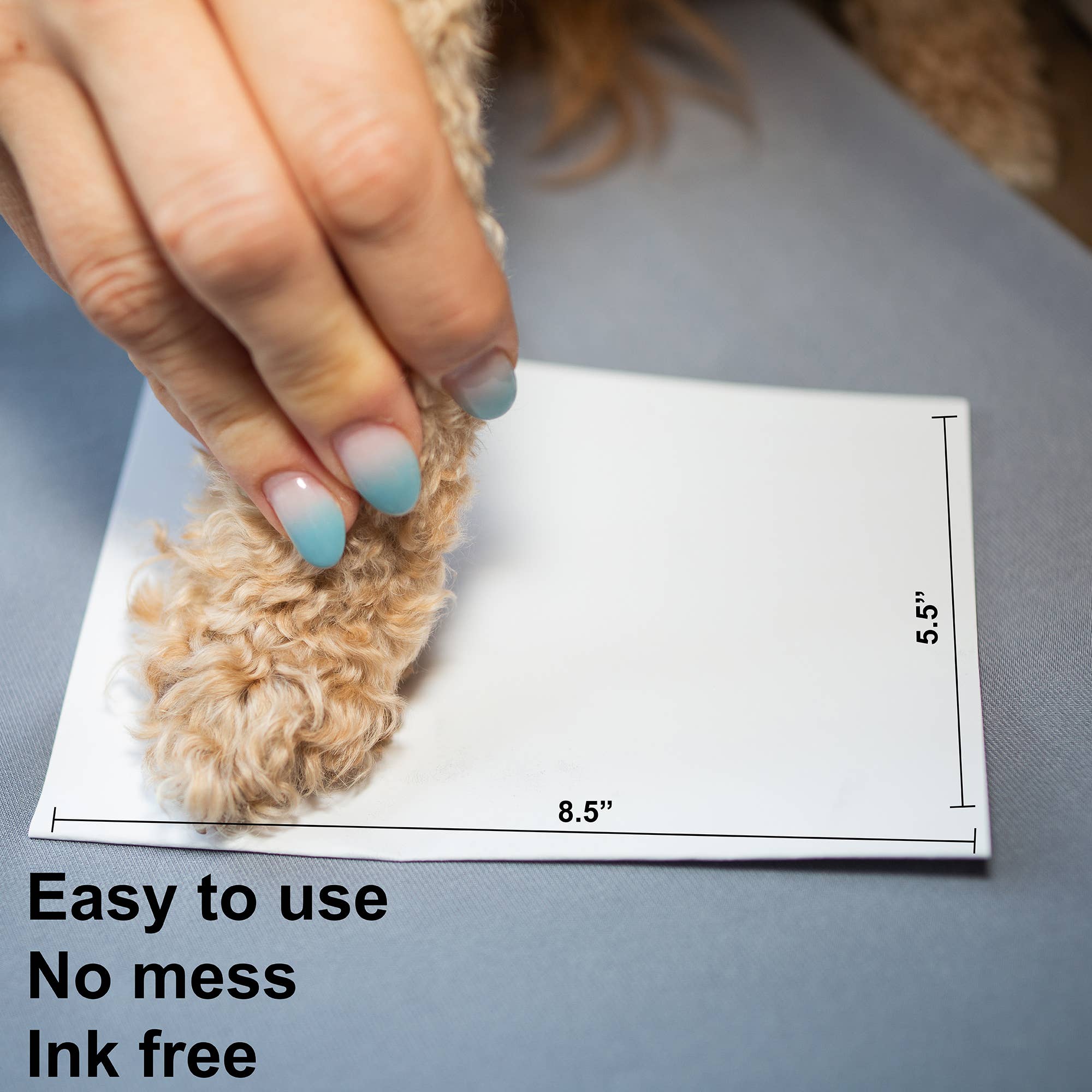 Kit d'Empreintes de Pattes Sans Encre