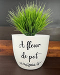Cache pot